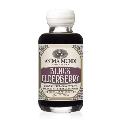 BLACK ELDERBERRY Syrup | Botanical + Mushroom Elixir