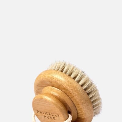 body dry brush