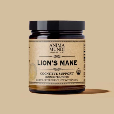 LION'S MANE | Adaptogenic Brain Tonic Powder
