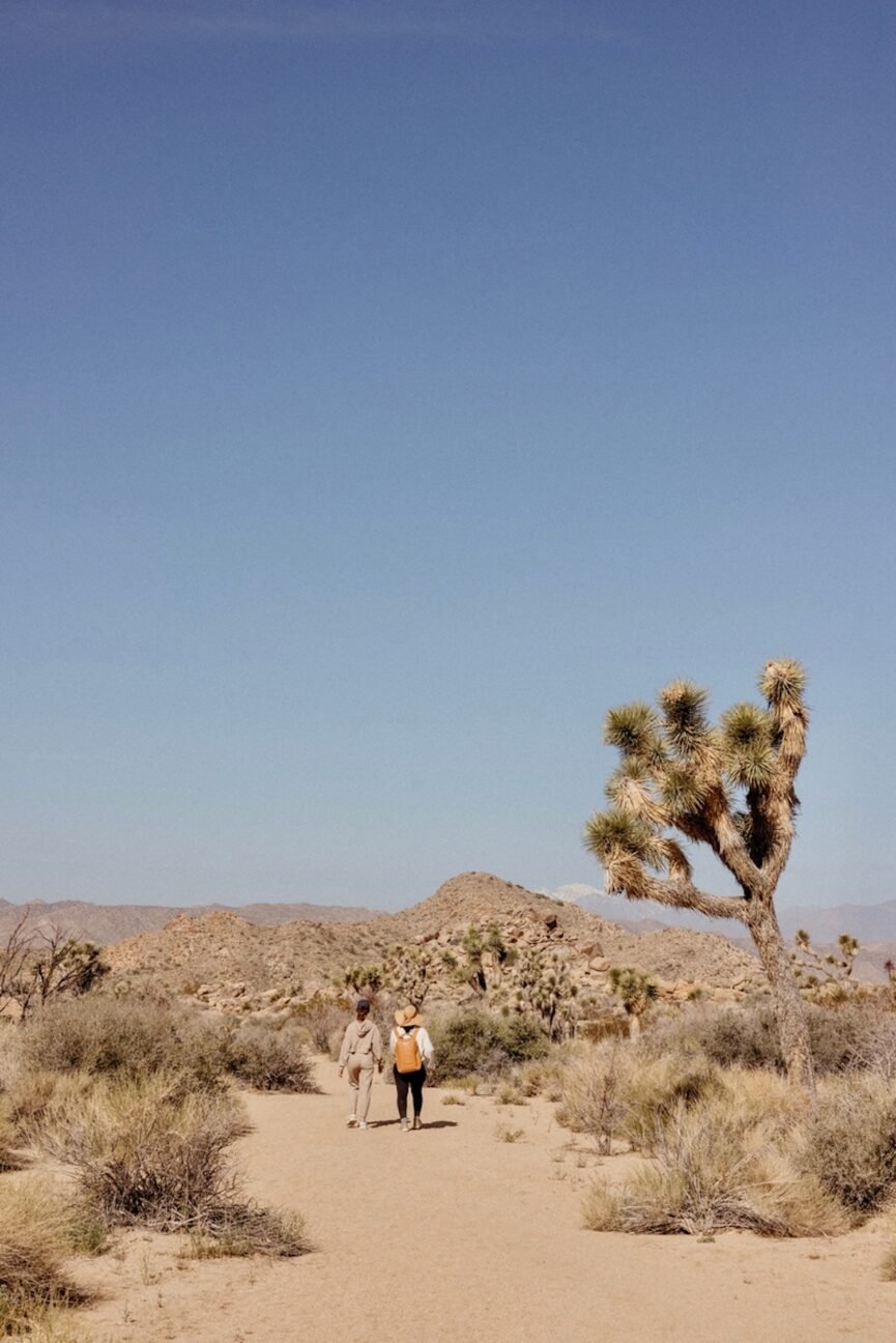 Two women walking for mental health in Joshua Tree, California.