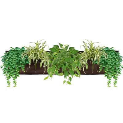 chocolate planter pocket