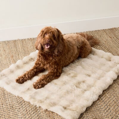 faux fur blanket pet throw