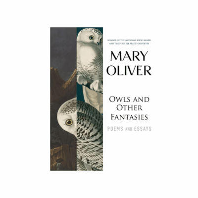 owls and other fantasies