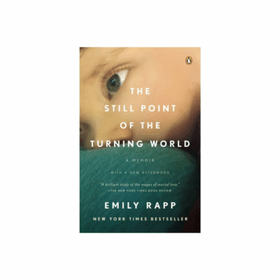 the still point of the turning world