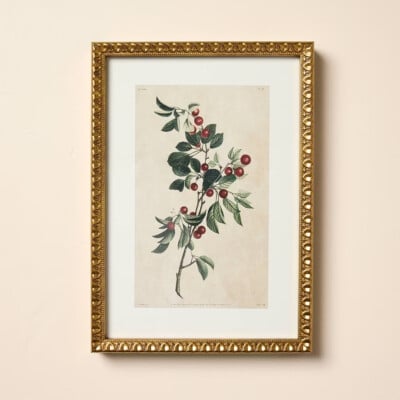 10"x14" Berry Branch Framed Wall Art