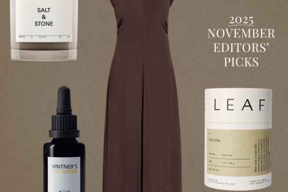 November Editor Picks