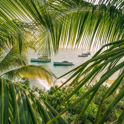 Window to Paradise, House of Spoils