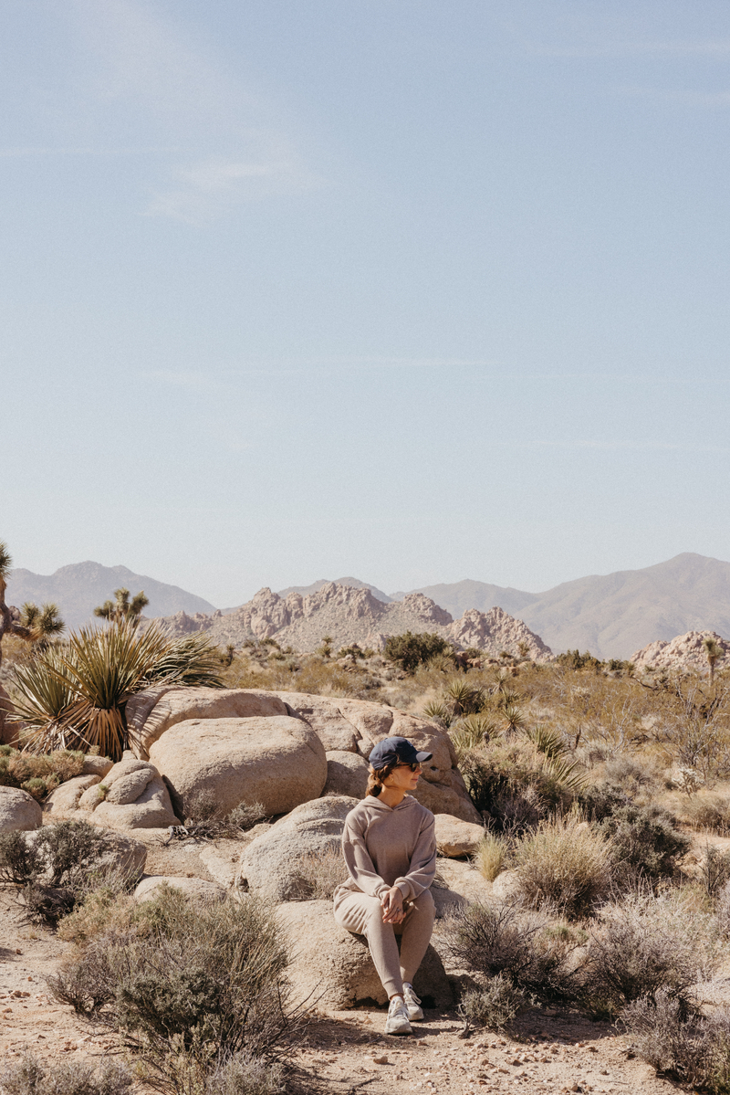 spring nervous system reset