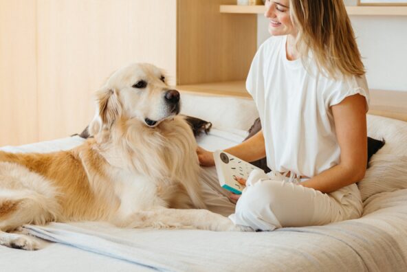 Sanne Vloet_habis that drain energy