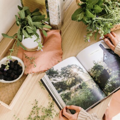 best summer cookbooks