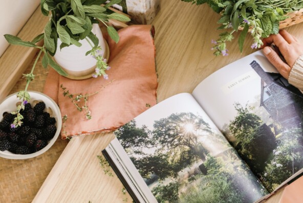 best summer cookbooks