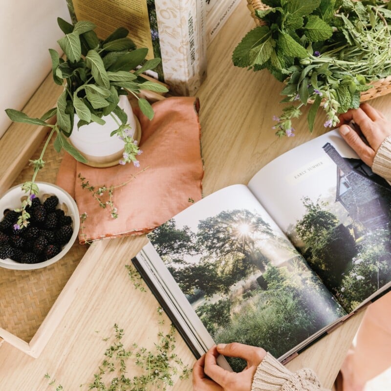 best summer cookbooks