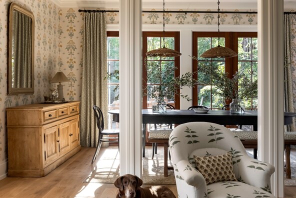Dog in living room