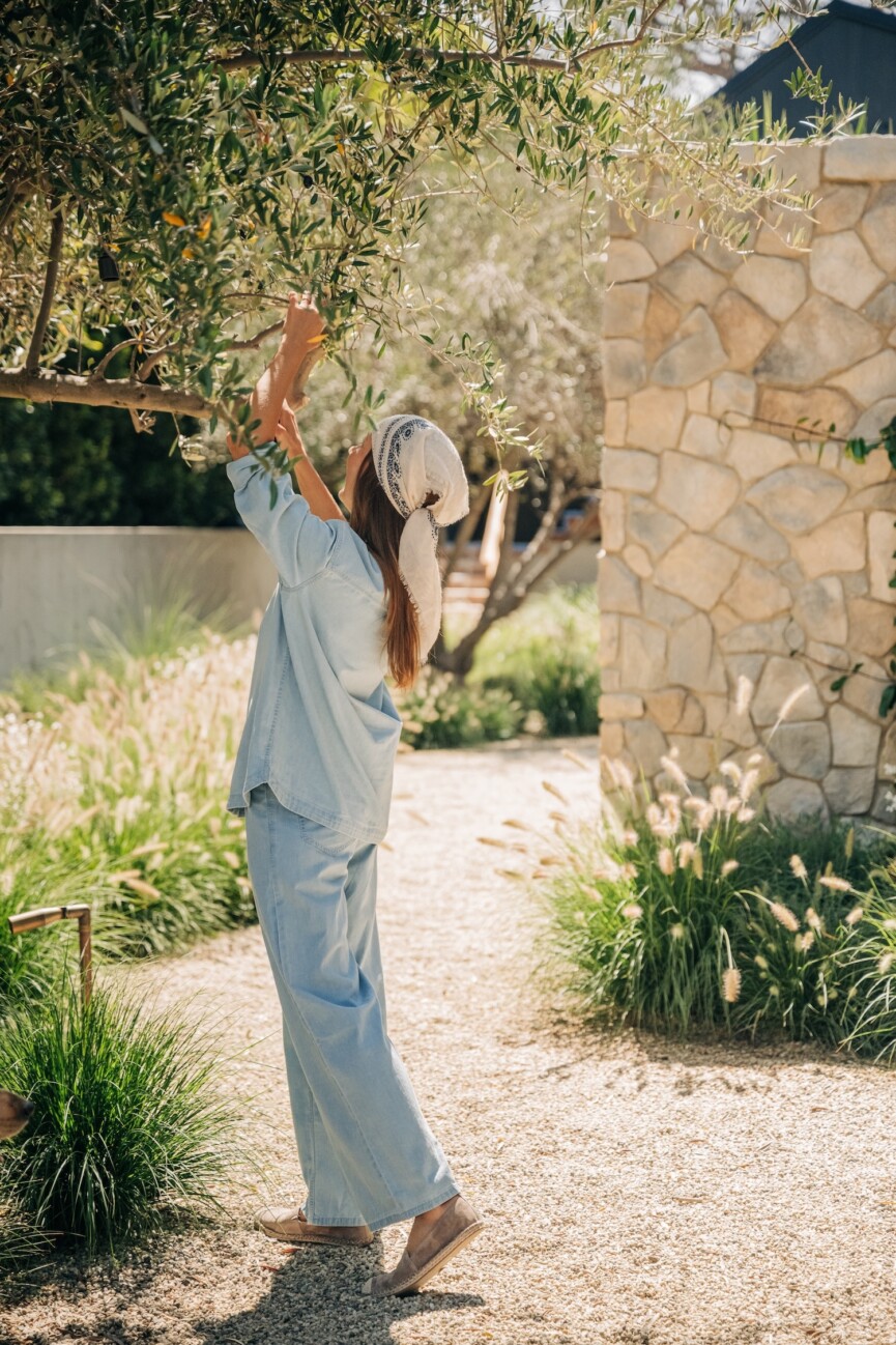 fall self-care rituals: pruning olive branches