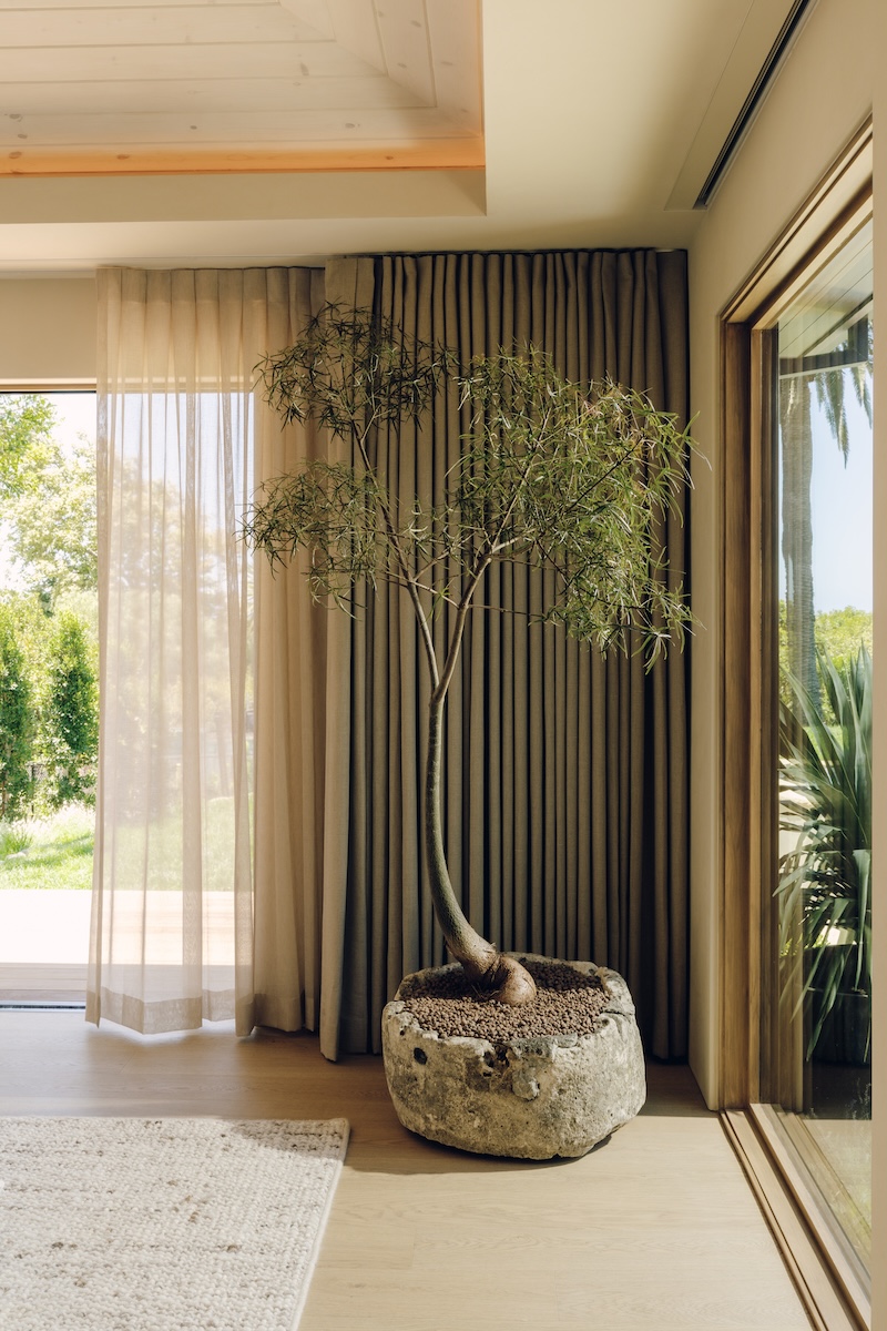 Layered sheer curtains and dark drapes covering corner windows with large potted tree in Camille Styles’ Malibu bedroom.