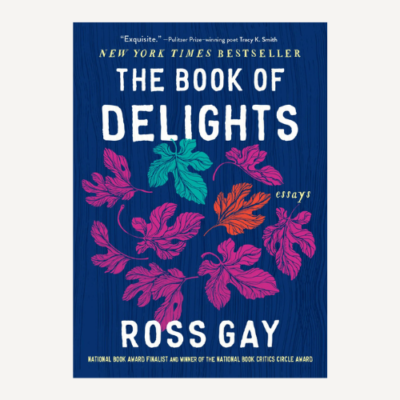The Book of Delights - books to read in your 40s
